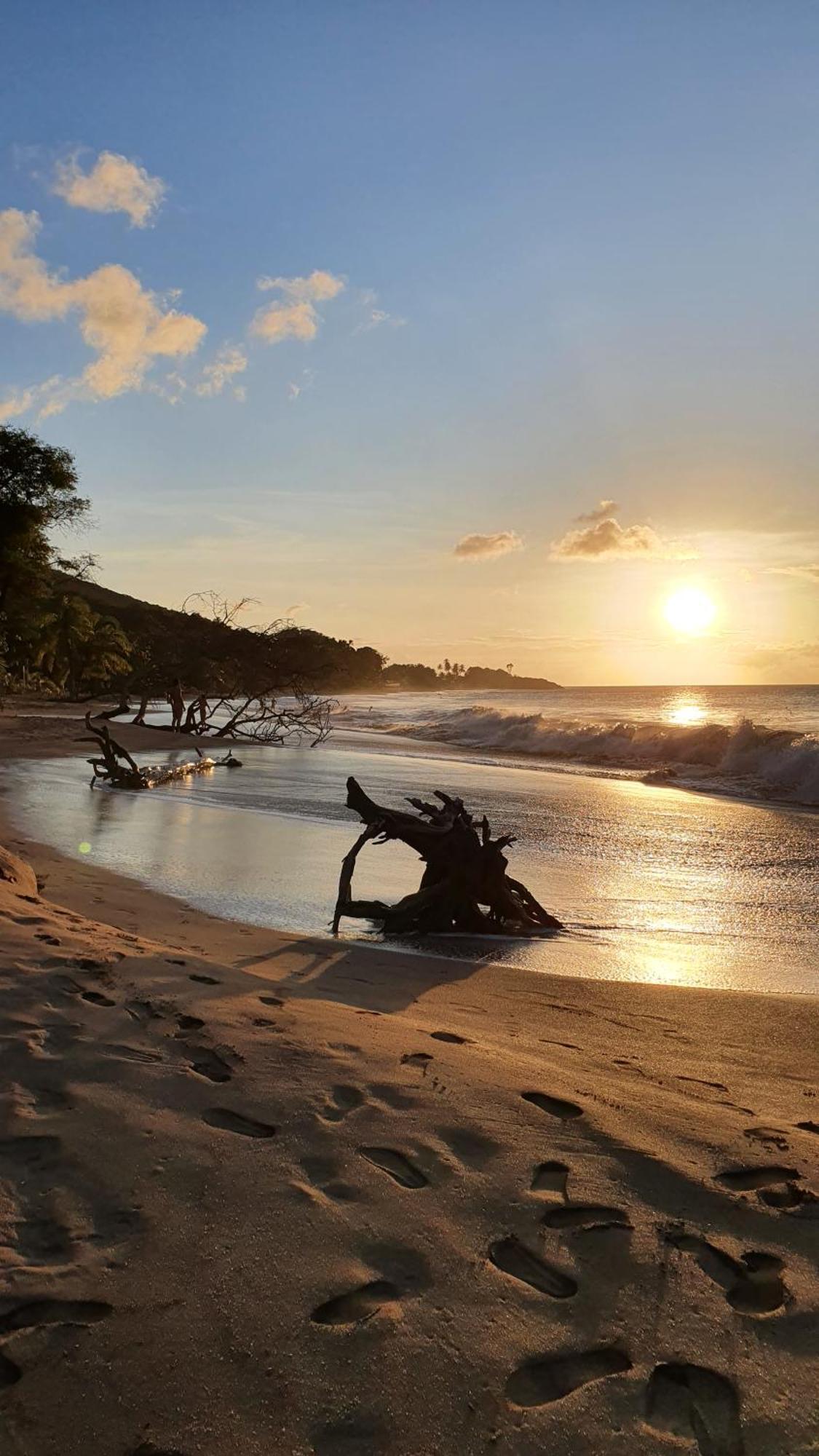 A Deux Pas De La Plage, La Perle! Vue Panoramique Deshaies Exterior foto